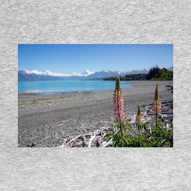 Lupins on the beach. by sma1050